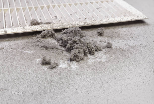 Best Air Vent Cleaning Services  in Princevle, IL