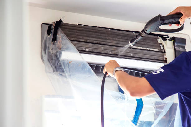 Air Duct Mold Removal in IL
