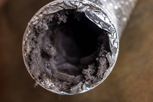 Best Dryer Vent Cleaning Services  in Princevle, IL