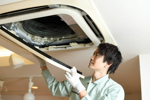 Best HVAC System Cleaning  in Princevle, IL