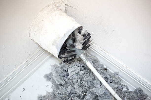 Best Local Air Duct Cleaning Services  in Princevle, IL